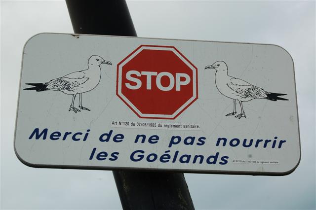 DSC_1490 (Small).JPG