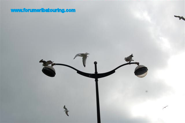 O15_1485 (Small).JPG