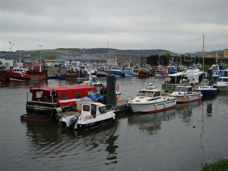 DSC07175 (Medium).JPG