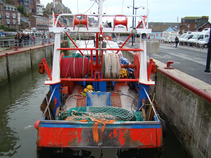 DSC07182 (Medium).JPG