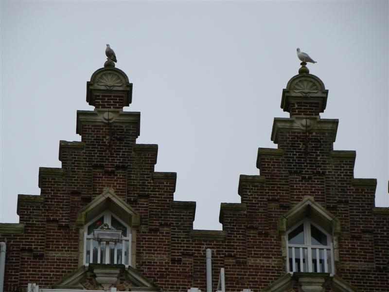 DSC07188 (Medium).JPG