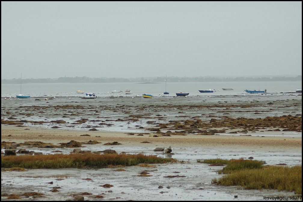 dsdsq [1000X750].JPG