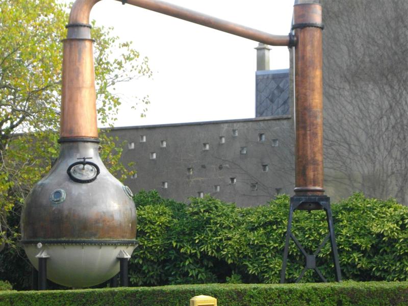 IMGP1233 (Medium).JPG