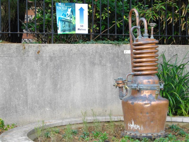 IMGP1243 (Medium).JPG