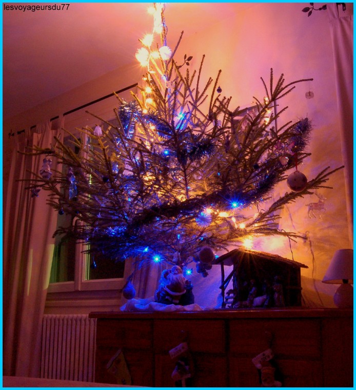 DSC_6 [1000X750].JPG