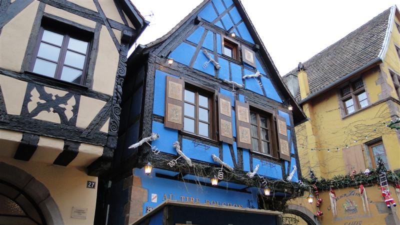 DSC01959 (Medium).JPG