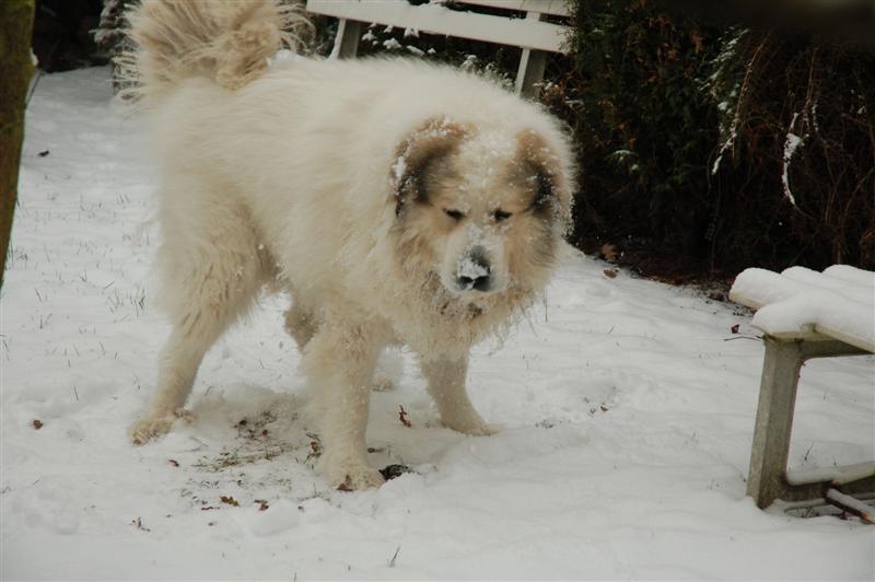 DSC_1744 (Medium).JPG