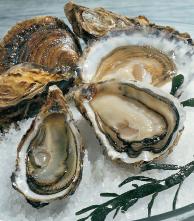 77239529huitres-belle-jpg.jpg
