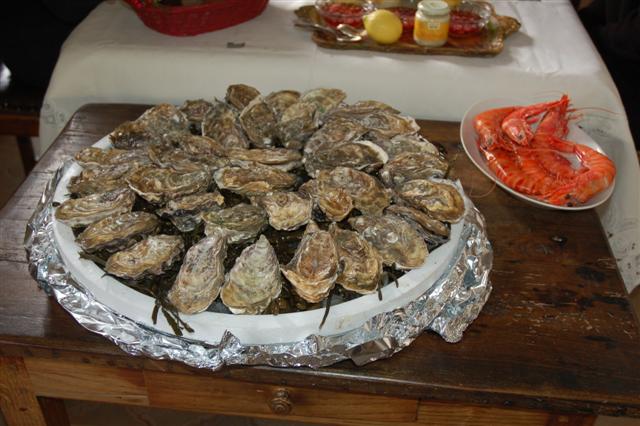 DSC_1815 (Small).JPG