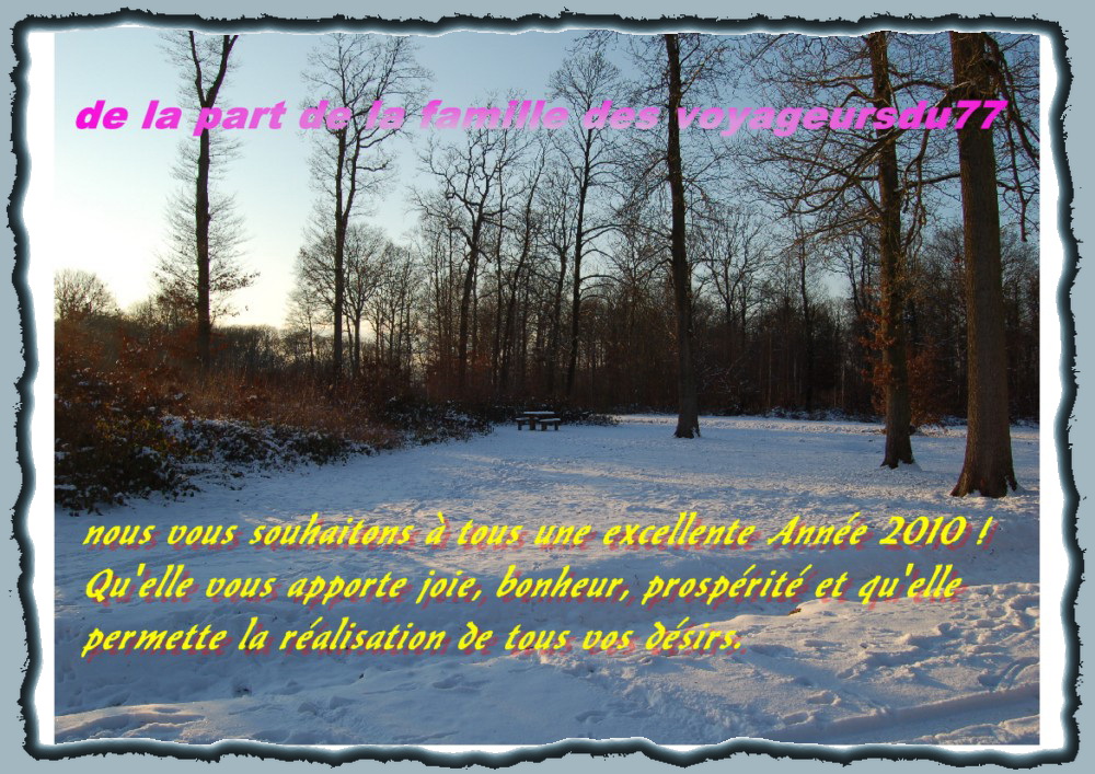 voeux2010 [1000X750]1.jpg