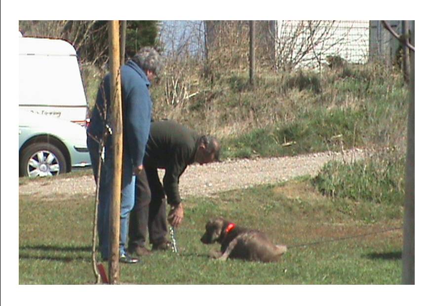 Il s'en donne bien du mal, tout ça pour m'attacher !!!