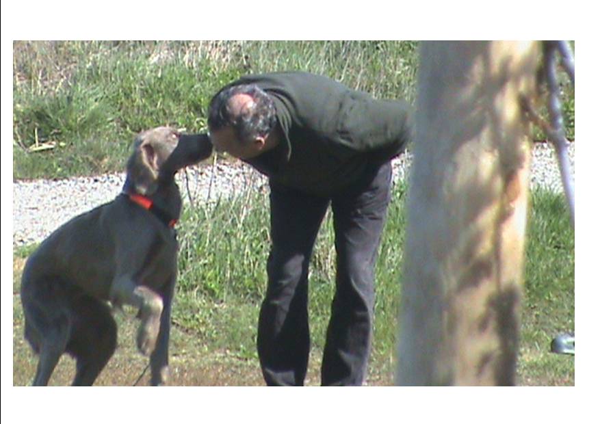 Les grands amours !!!