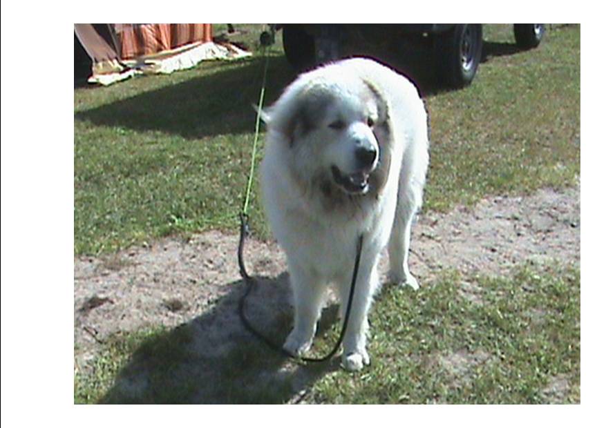 Bon,  c'est pas le tout mais je m'ennuie ...