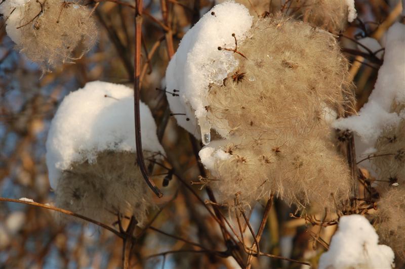 DSC_1889 (Medium).JPG