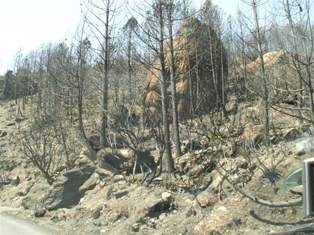 Le feu dévaste Aullène en juillet