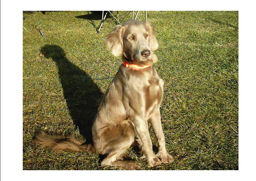 J'suis belle, mais je le sais moi !!!