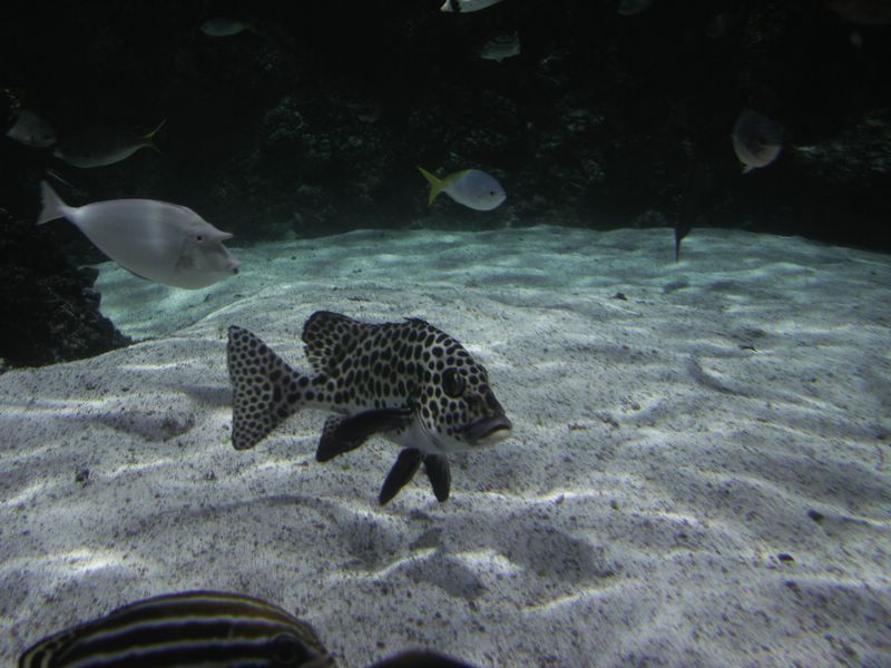 PICT0284 [800x600].JPG