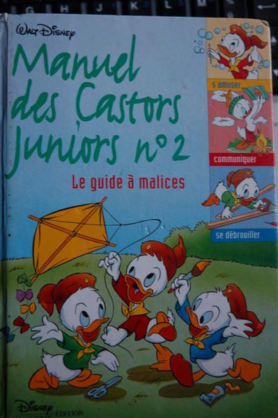 DSC_1934 (Medium).JPG