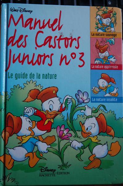 DSC_1933 (Medium).JPG