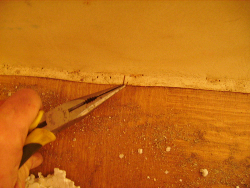 Pour enlever les agraffes qui tiennent le revêtement mural j'utilise une pince à long bec et je tire d'un coup sec. Ca vient tout seul !