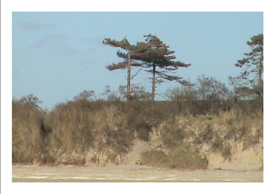 Baie P 2.jpg