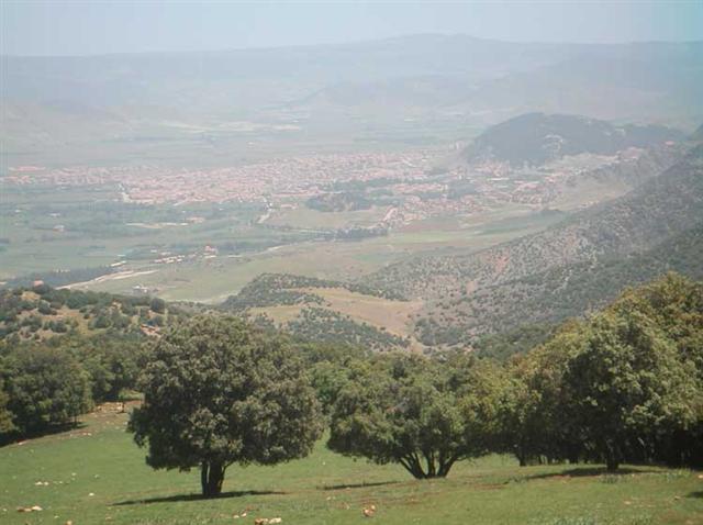 Azrou (Small).jpg