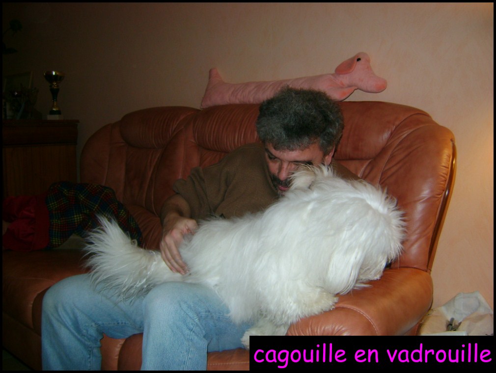 CARAVANE 006 [1024x768].JPG