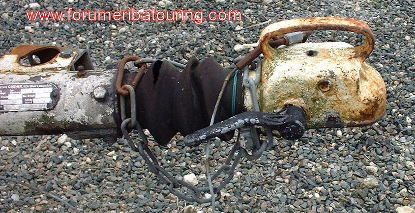 DSCF0009 (Large).JPG