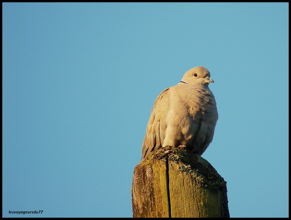 TOURT [1000X750].jpg