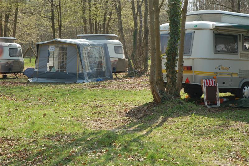 DSC_2920 (Medium).JPG