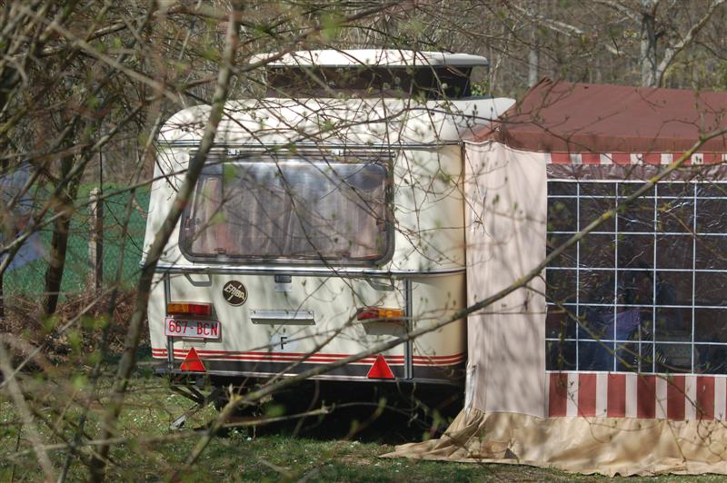 DSC_2945 (Medium).JPG