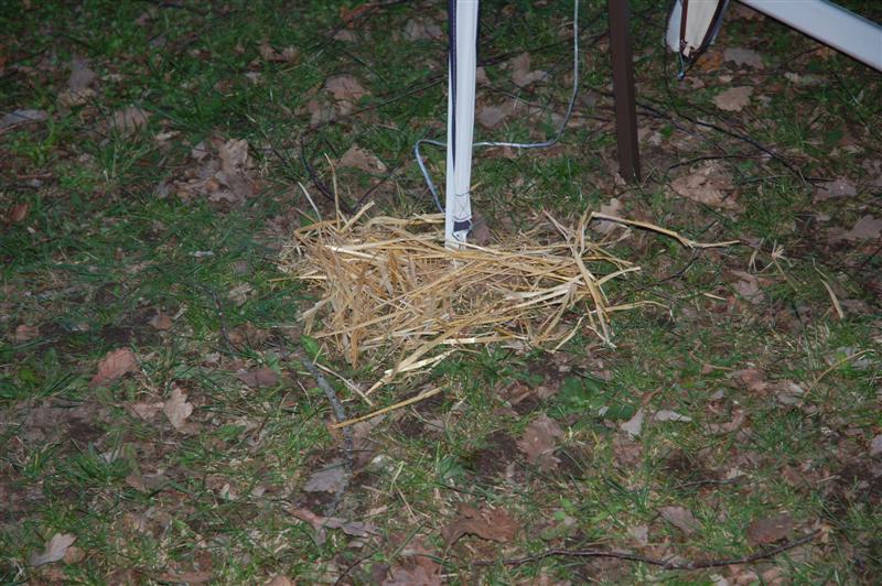 DSC_3071 (Medium).JPG