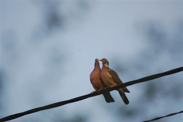 DSC_3142 (Small).JPG