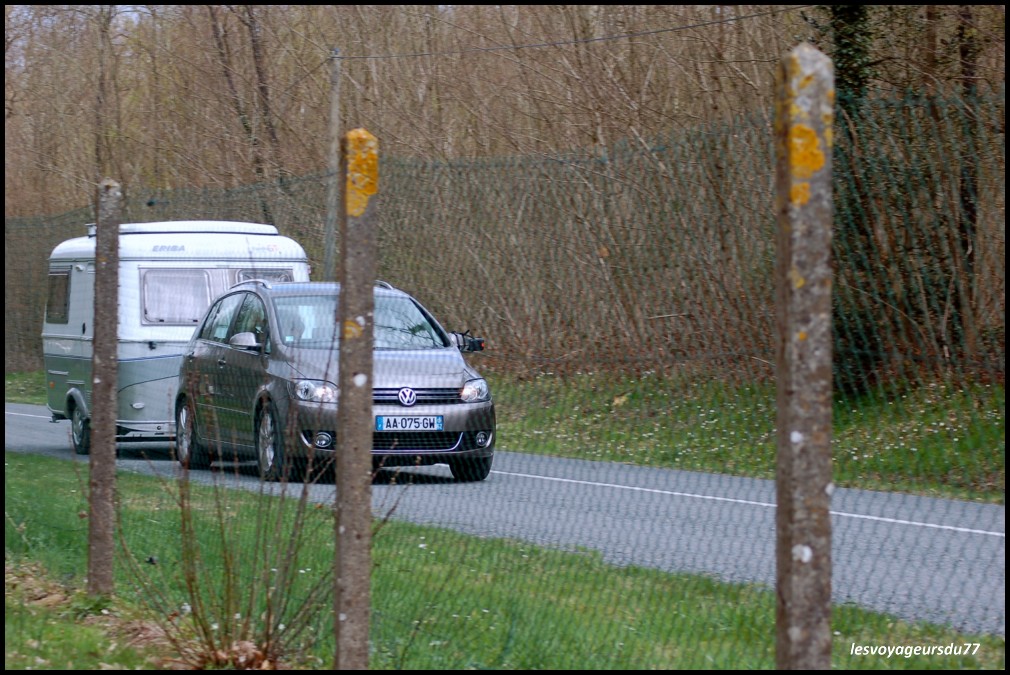 DSC_4170-1 [1000X750].JPG