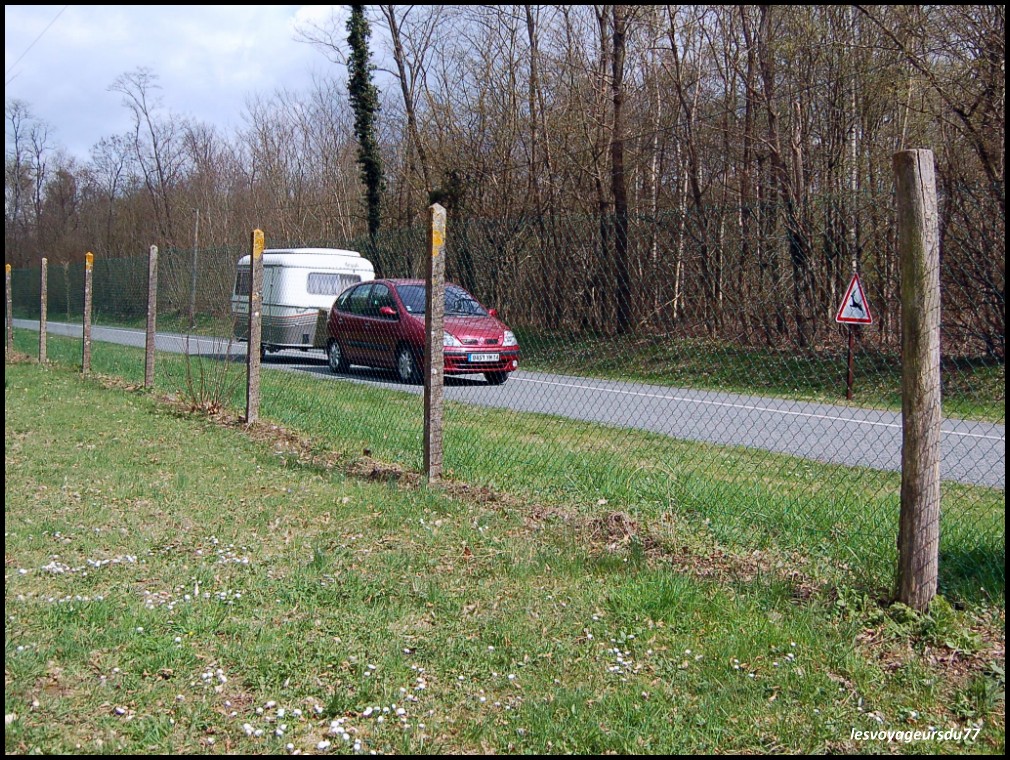 DSC_4181-1 [1000X750].JPG