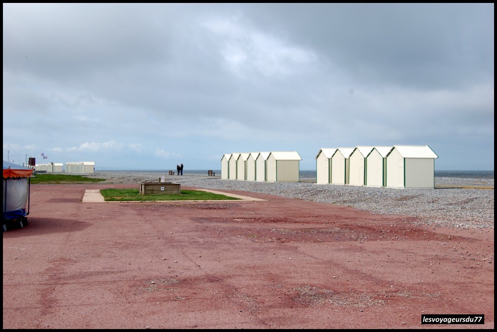 DSC_4564-1 [1000X750].JPG