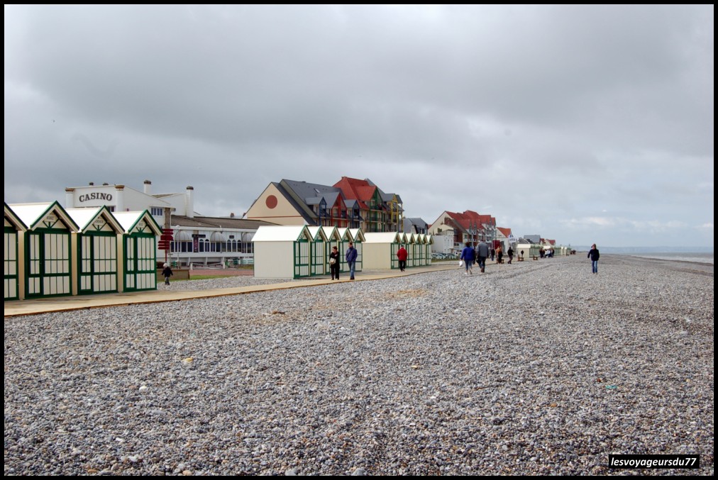 DSC_4567-1 [1000X750].JPG