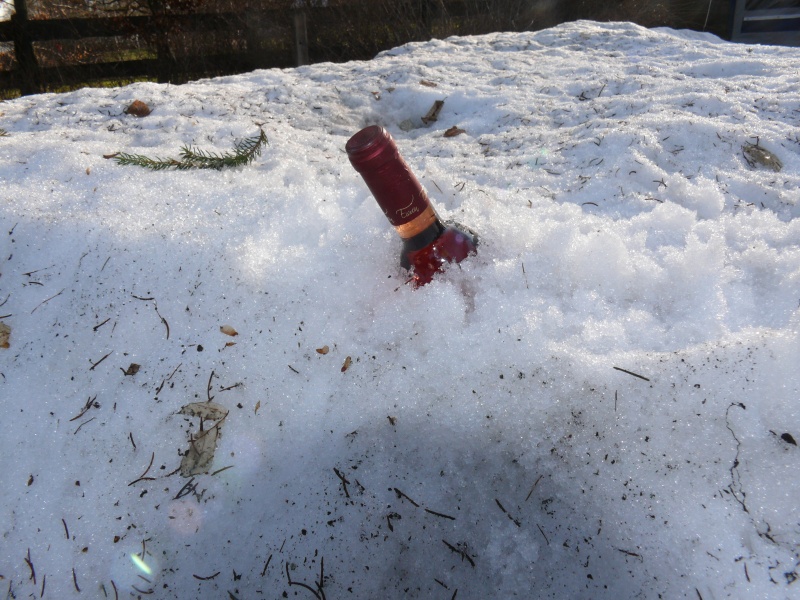 L'hiver résiste_03.JPG