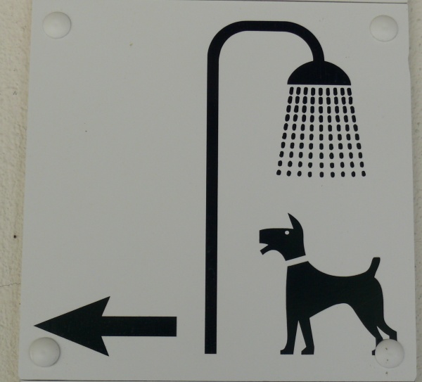 douche pour chiens (1).JPG