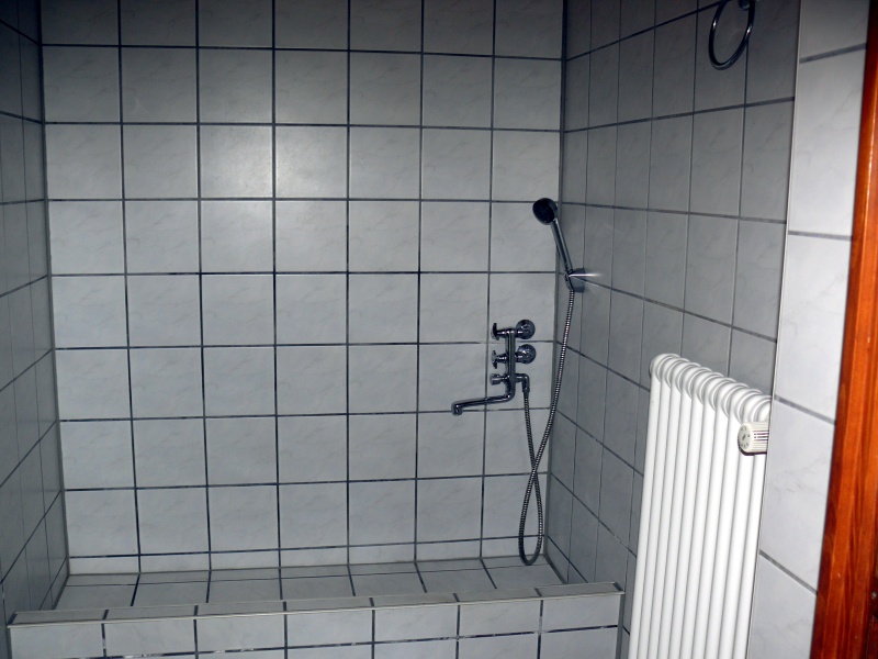 douche pour chiens (2).JPG