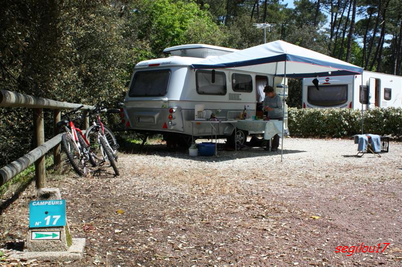 IMG_2637-1 (Medium).jpg