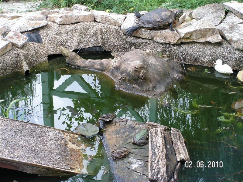 PICT0656 (Medium).JPG