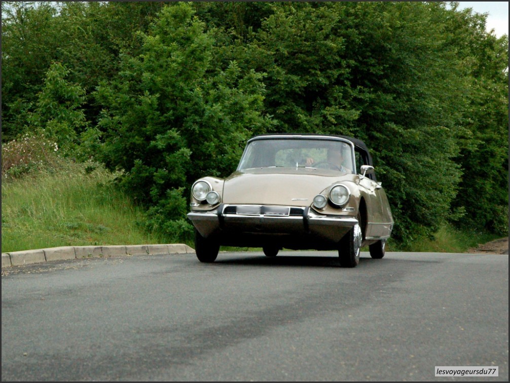 DSC_5572-1 [1000X750].JPG