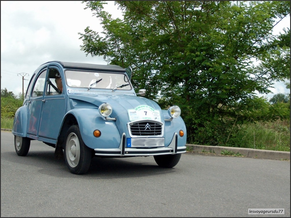 DSC_5620-1 [1000X750].JPG