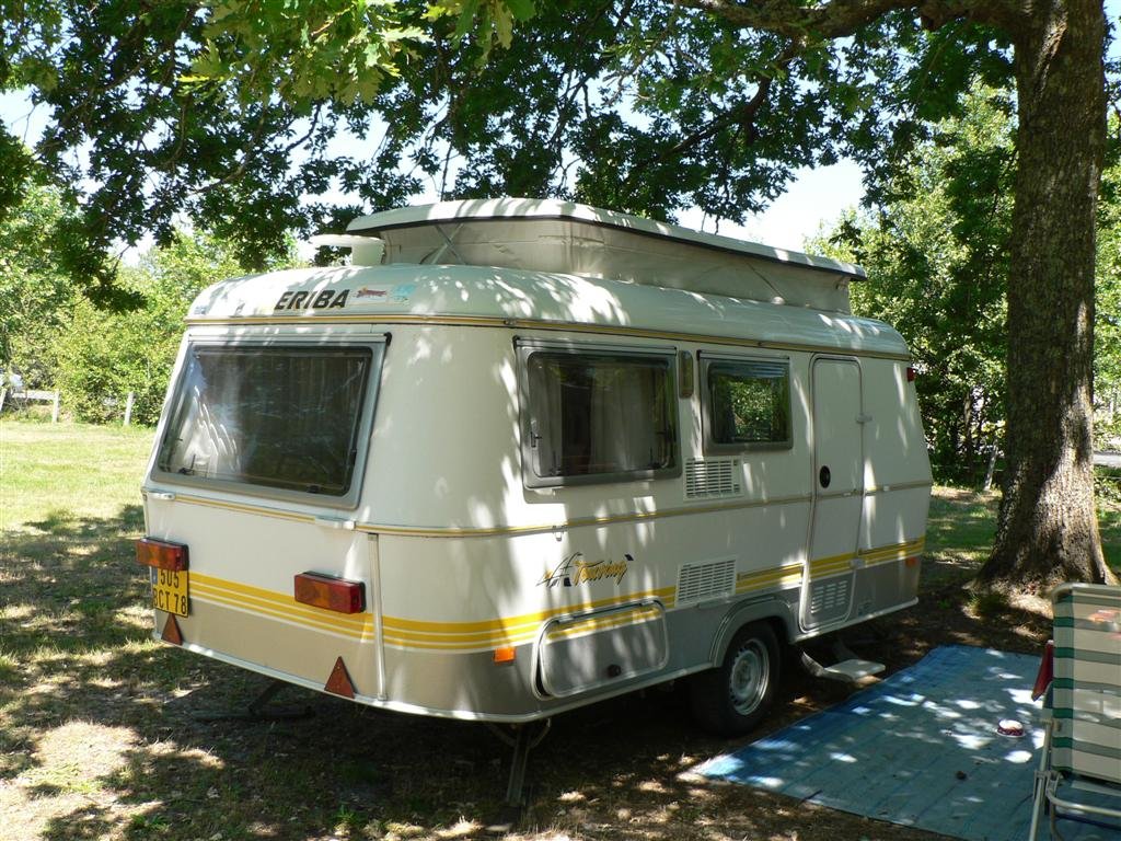 P1040224 (Large).JPG