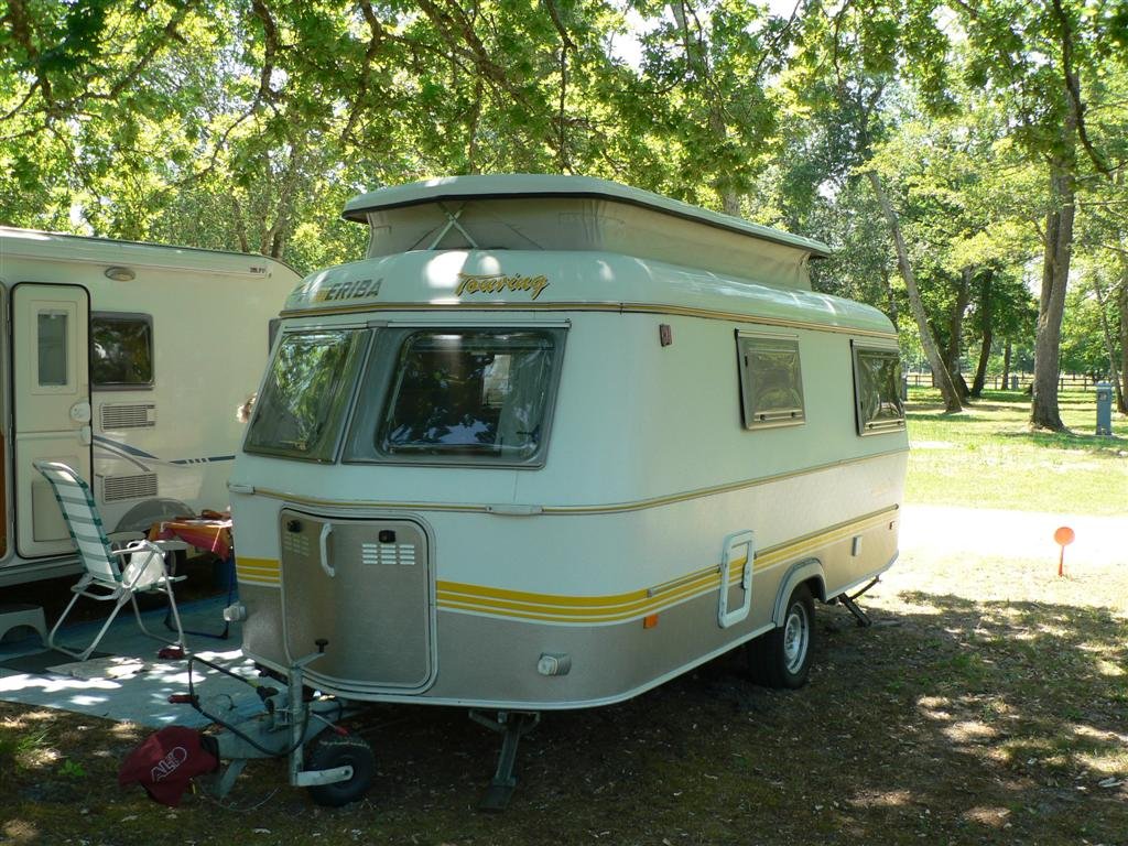 P1040227 (Large).JPG