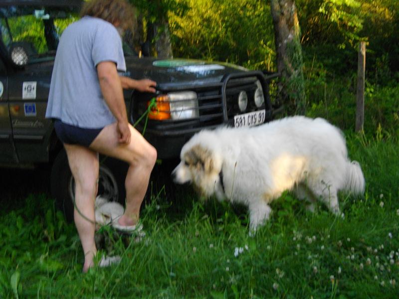 IMGP0693 (Medium).JPG