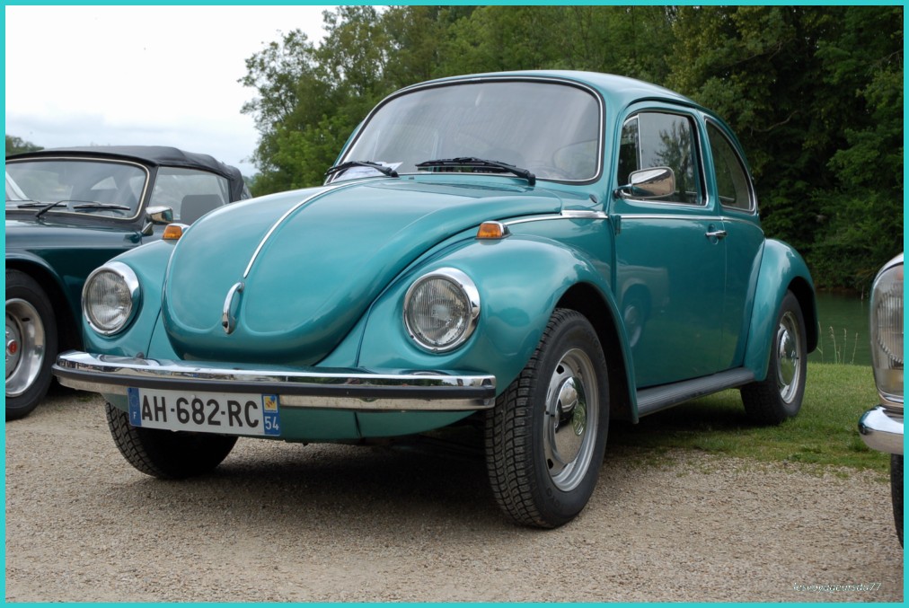 DSC_5732-1 [1000X750].JPG