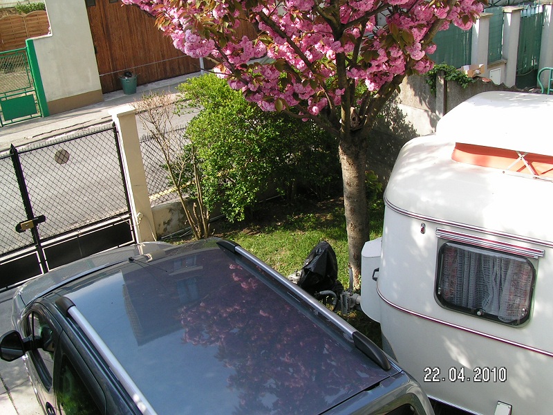 Eriba Toinette printemps 2010-04-04.jpg