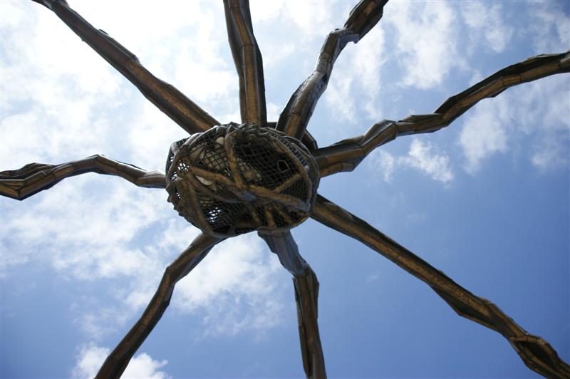 DSC01989 (Medium).JPG